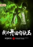 There is a piece of jade in my dantian